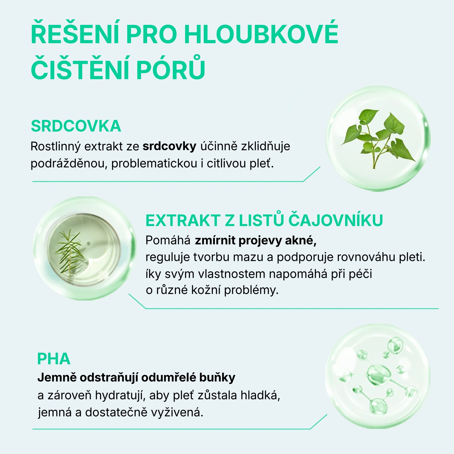 1.1. OOTD Detailed Page Heartleaf Zero Pore Cleanser